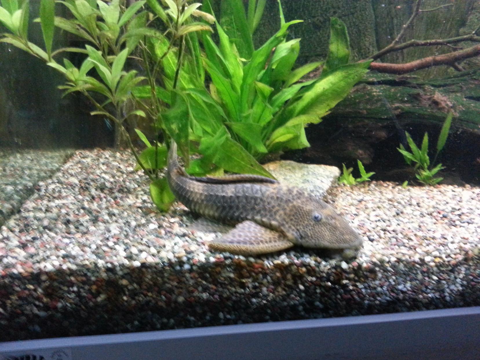 20130428_195001.jpg