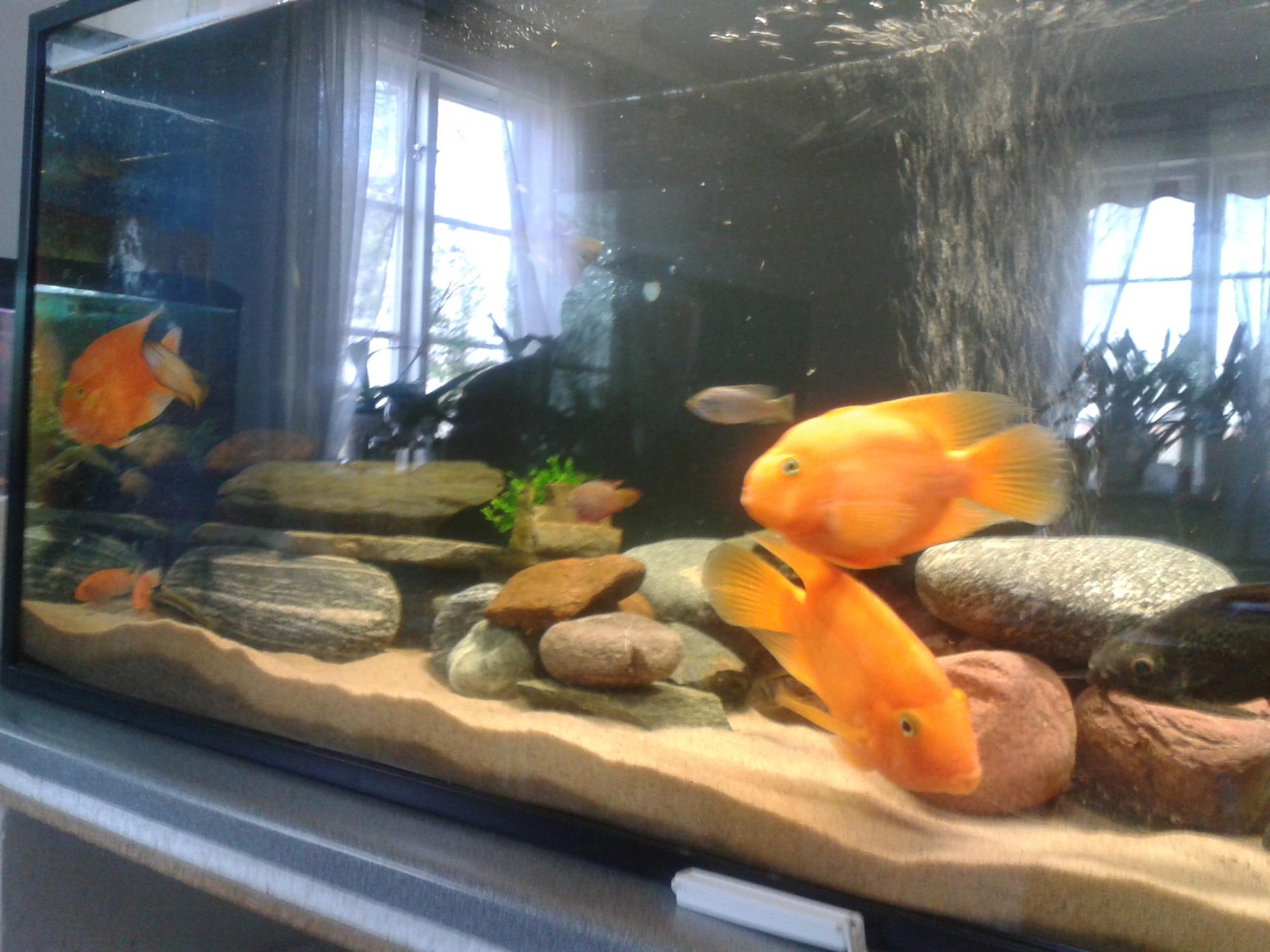 20140419_112819.jpg
