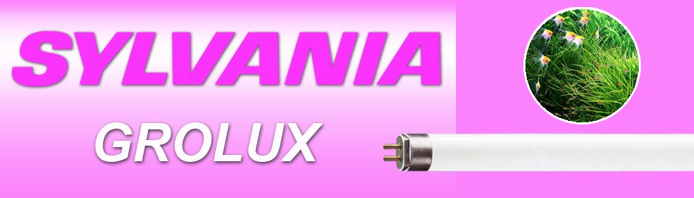 041-980x280.jpg