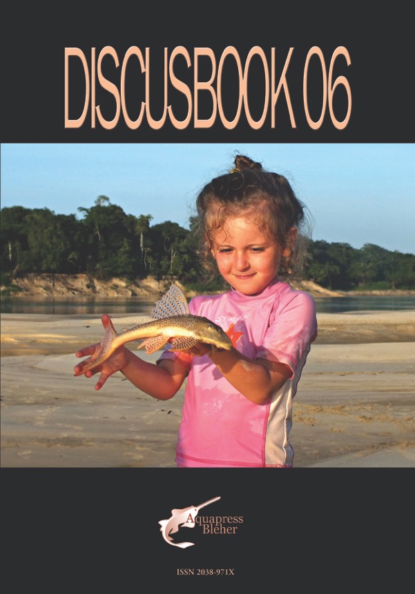 DB06_cover.jpeg.jpg