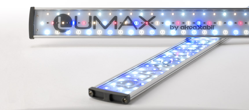 lumax-top.jpg