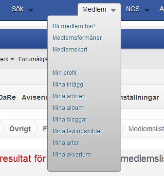 Skärmklipp.JPG