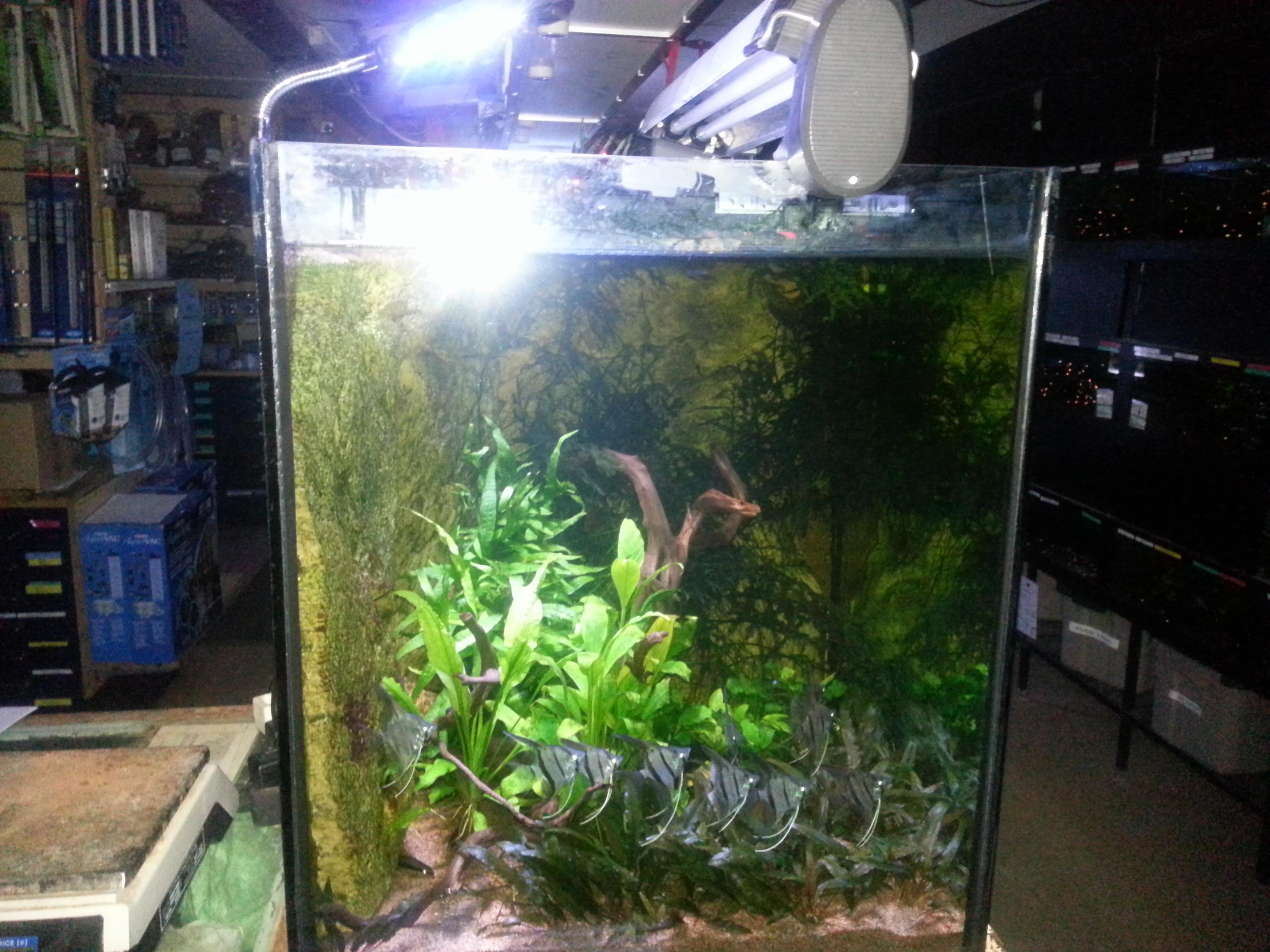 20130204_192242.jpg