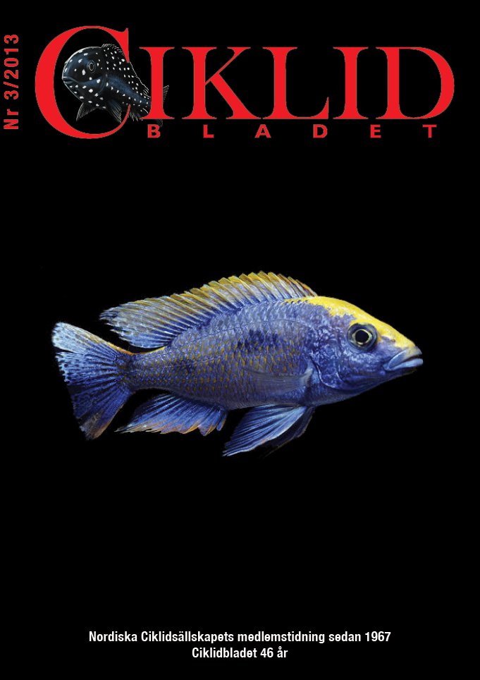 cb3 framsida.jpg