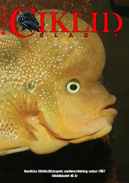 omslagsbild cb1304.jpg