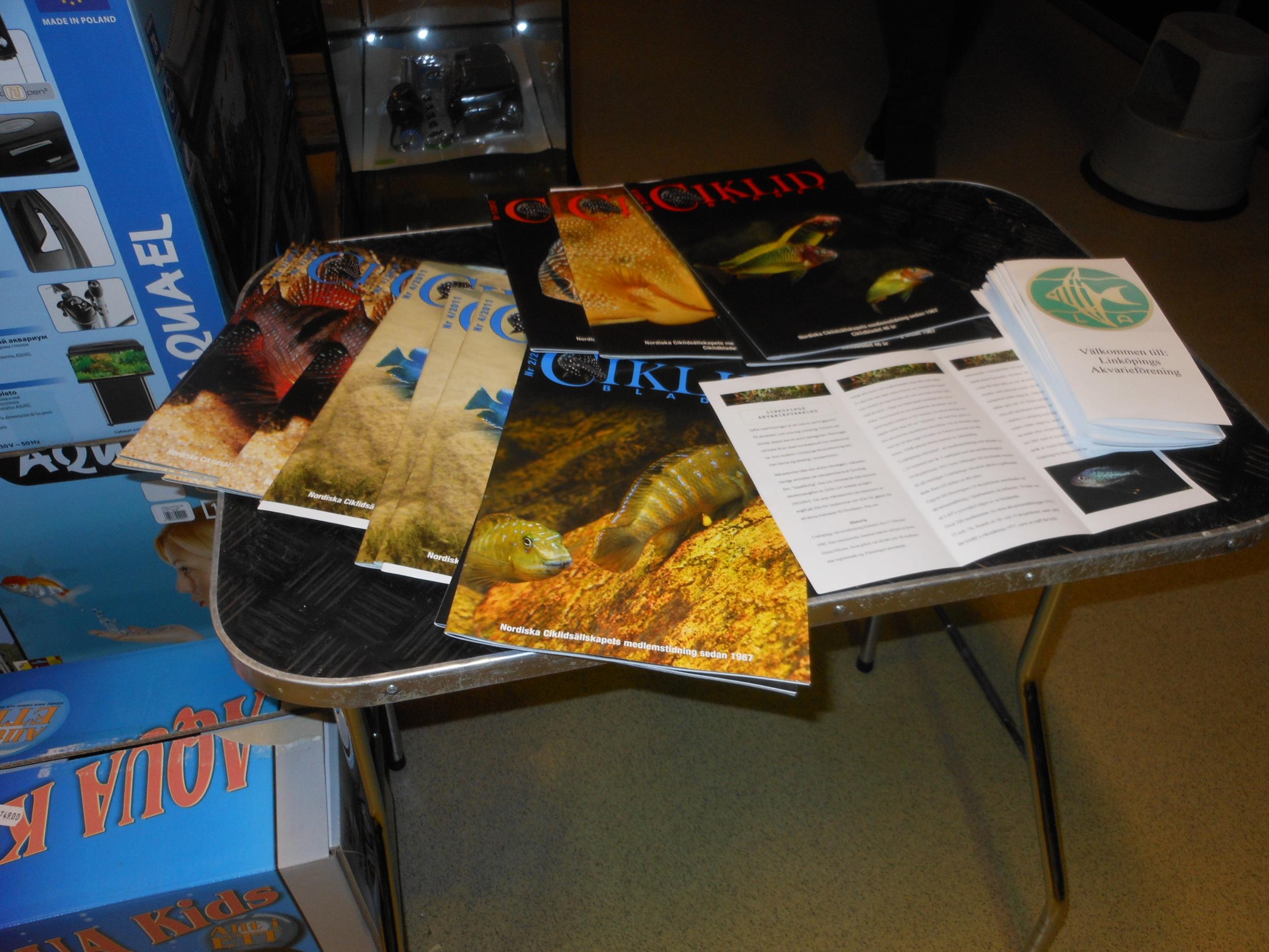 DSCN2685.jpg