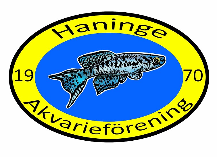 Färgad Logga 1 Gul och blå.jpg