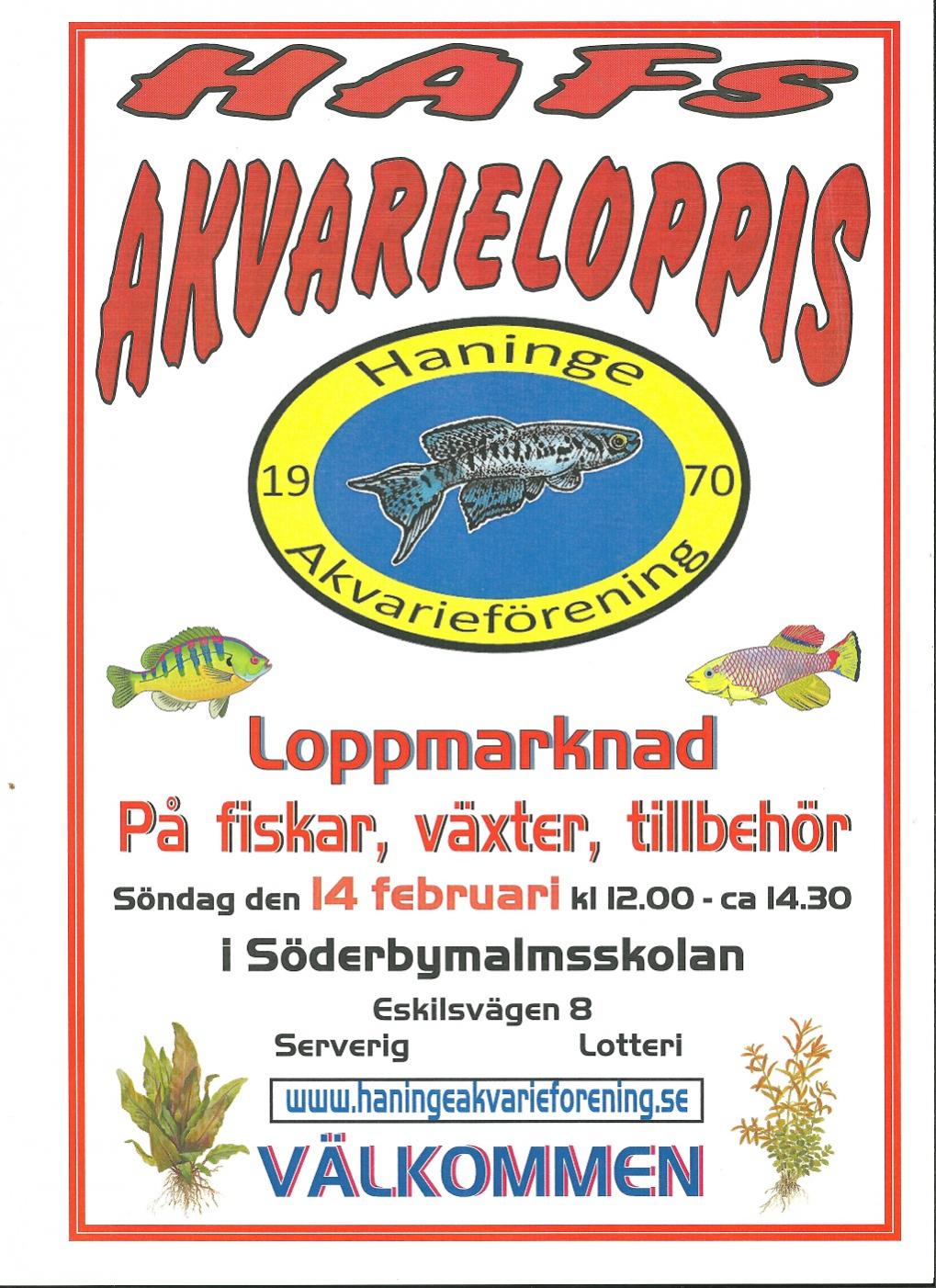 HAF Loppis A4 2016 001_20procent.jpg