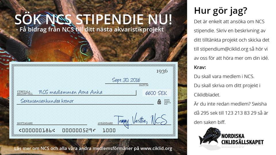 Stipendie_n.jpg