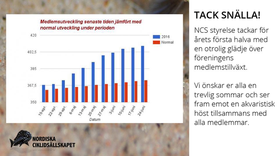 Tack.jpg