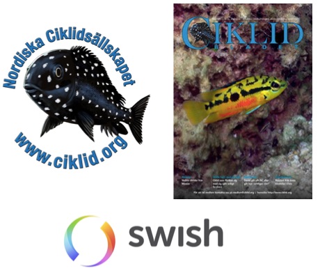 swish.jpg