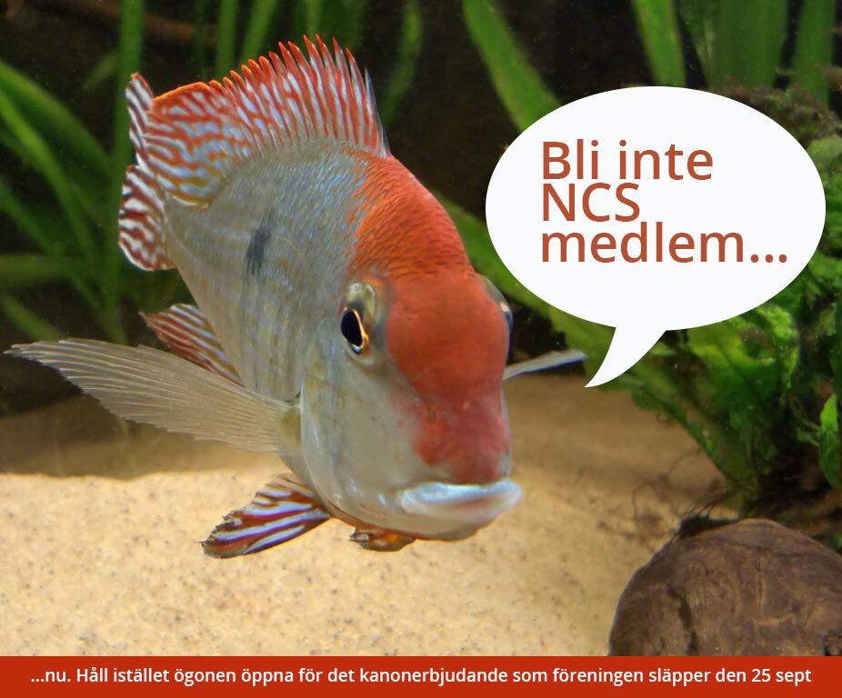 bli inte medlem.jpg