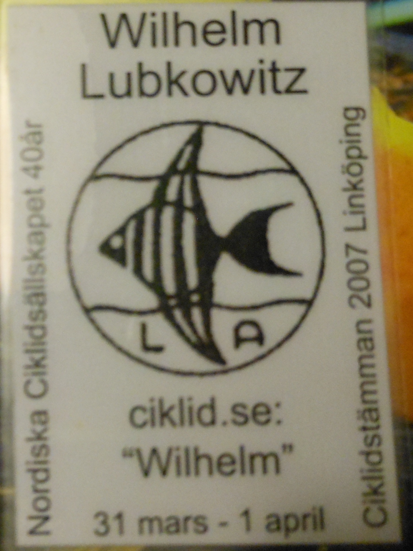 intr&amp;#228;deskort.JPG