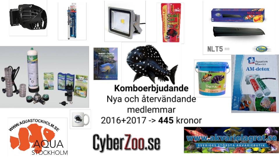 Kollage av bilder.jpg