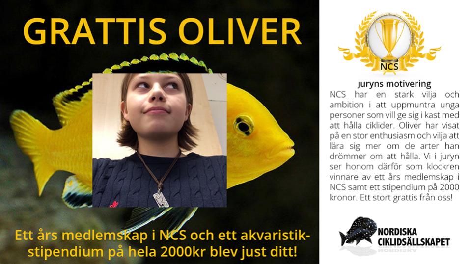 stipendium2016-Oliver.jpg