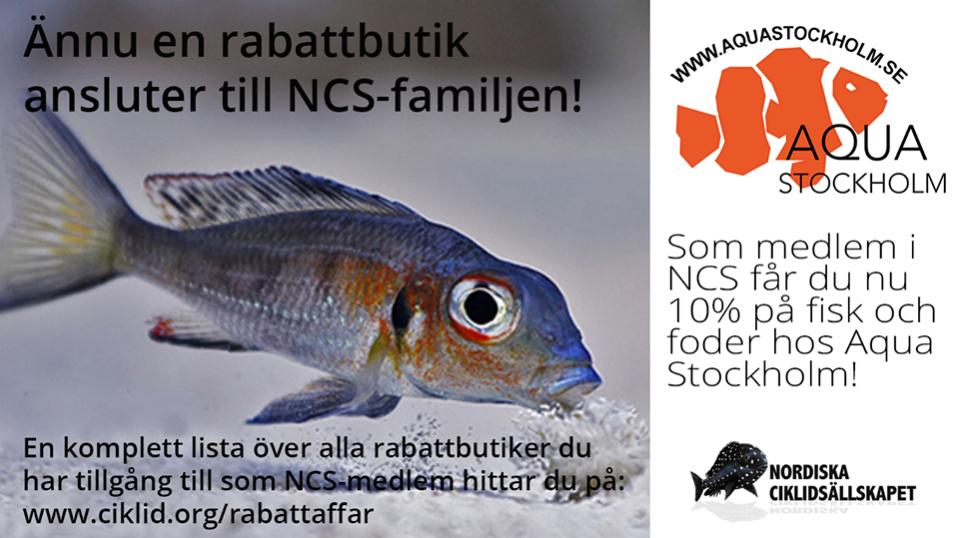 Aqua sthlm.jpg