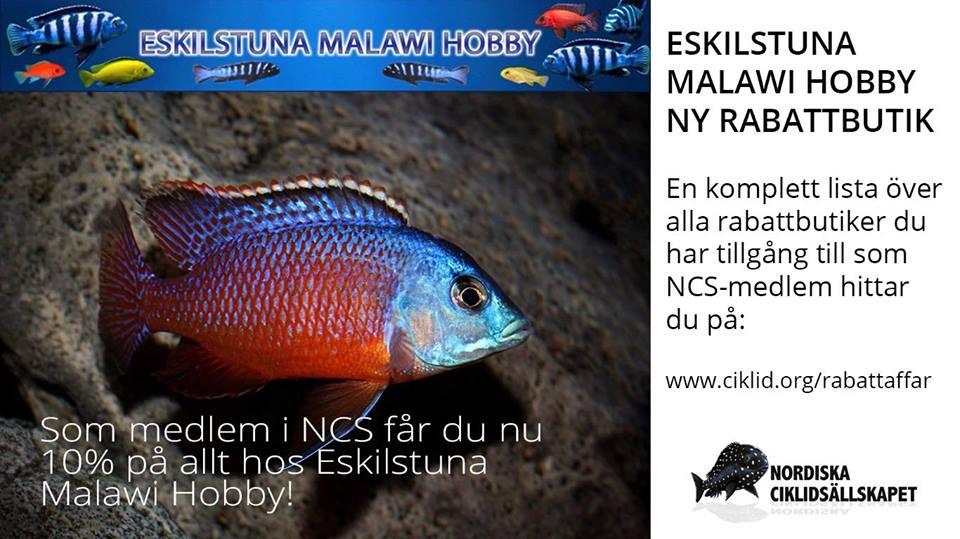 Eskistuna.jpg