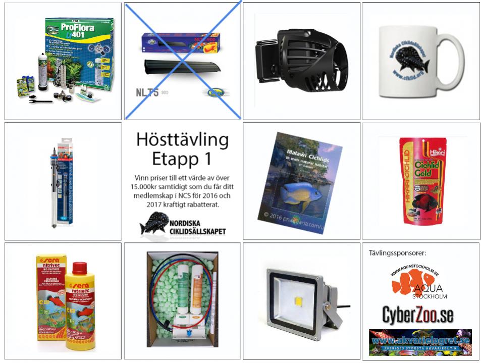 NCSTa&#776;vling-1.jpg