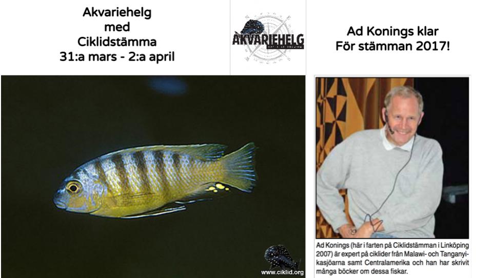 Sta&#776;mman2017-1.jpg