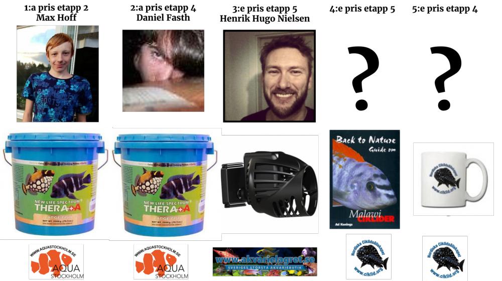 Vinnare etapp4.jpg