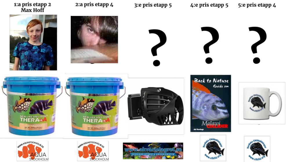 Vinnare etapp4 (1).jpg