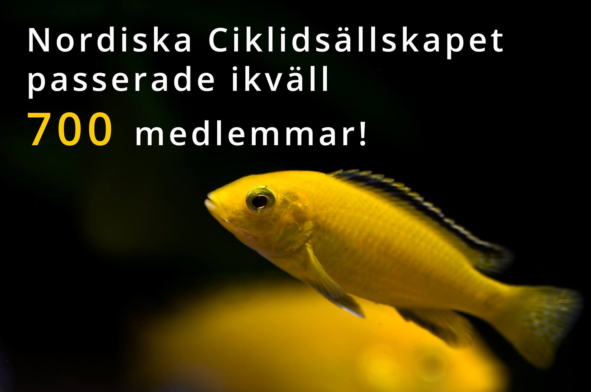 700.jpg
