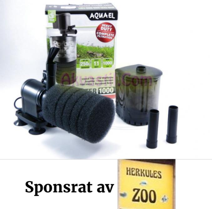 Ma&#778;nadens medlem -dec -16.jpg