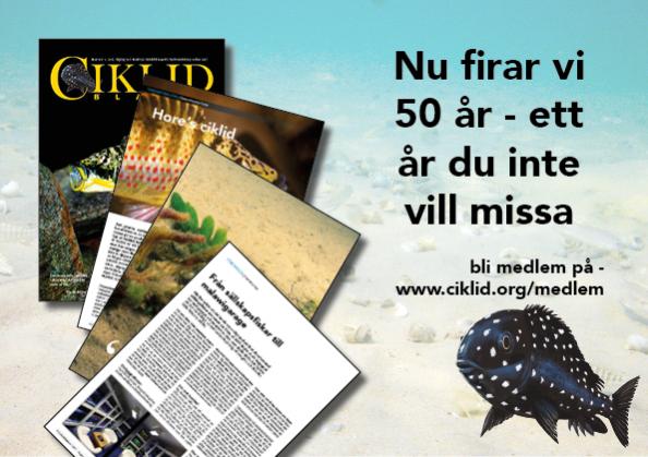 ncs50a&#778;r.jpg