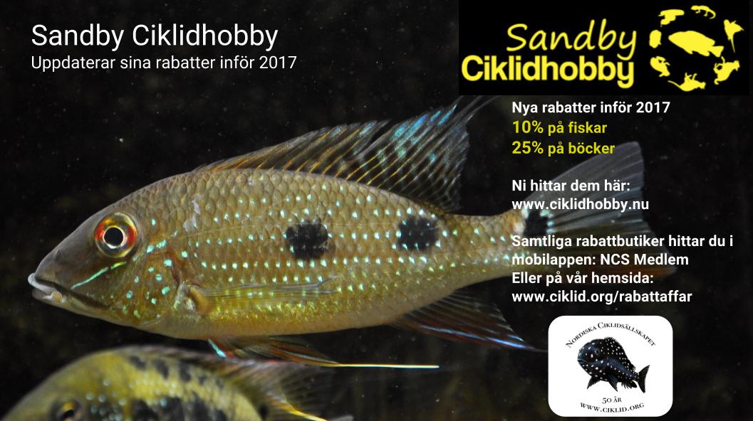 Sandby Ciklidhobby.jpg