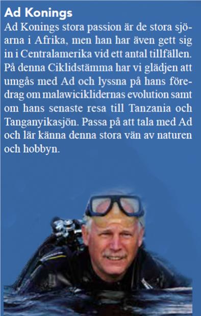 ad konings.jpg