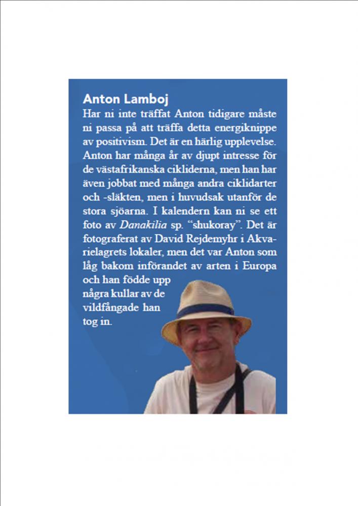 Lamboj.jpg