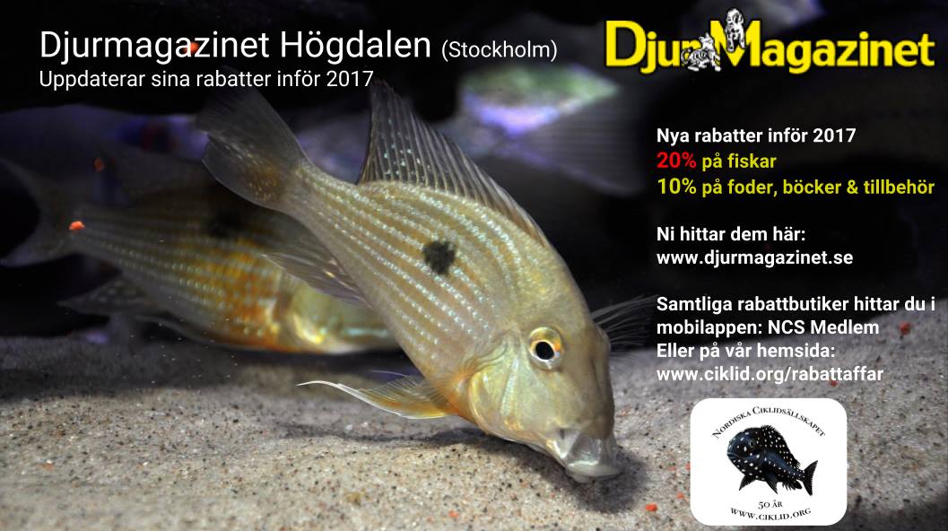 h&amp;#246;gzoo.jpg