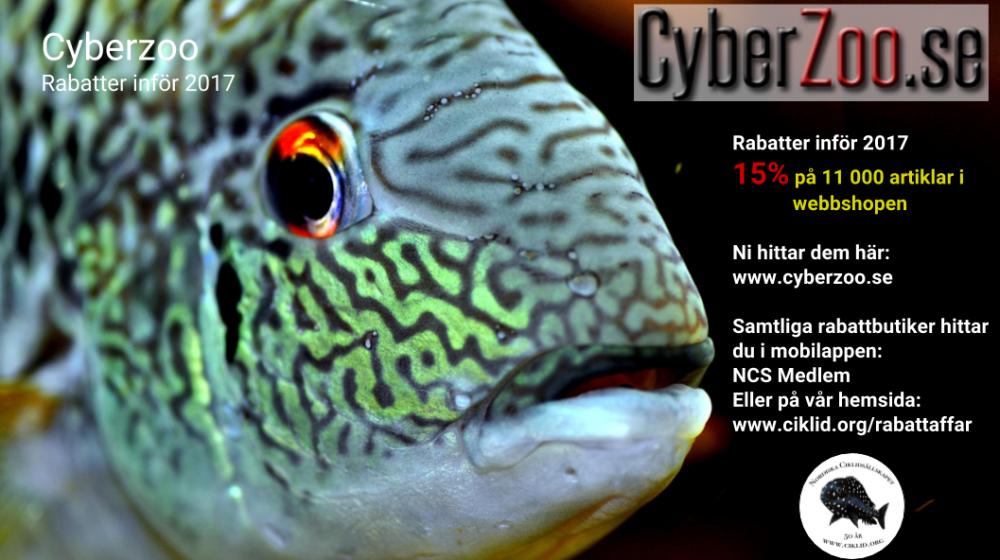 Cyberzoo.jpg