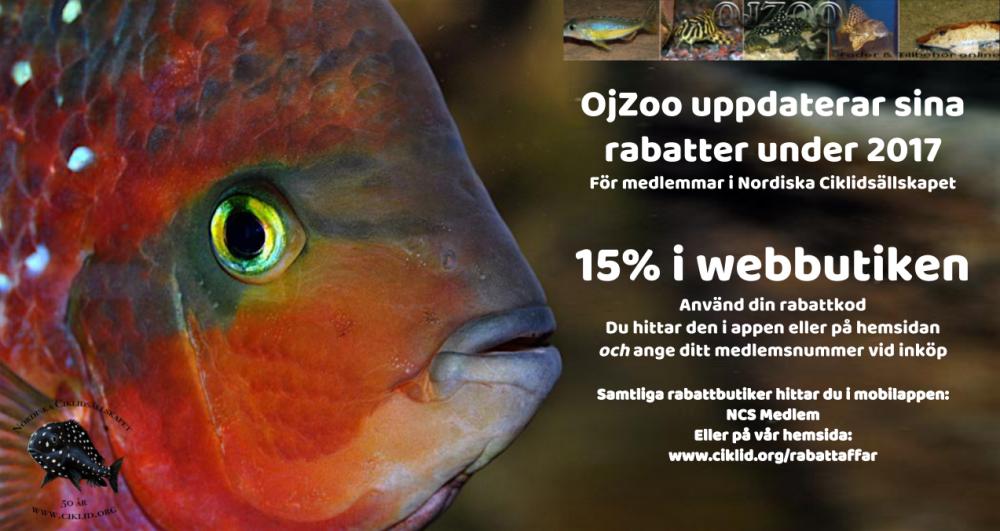 OjZoo.se.jpg