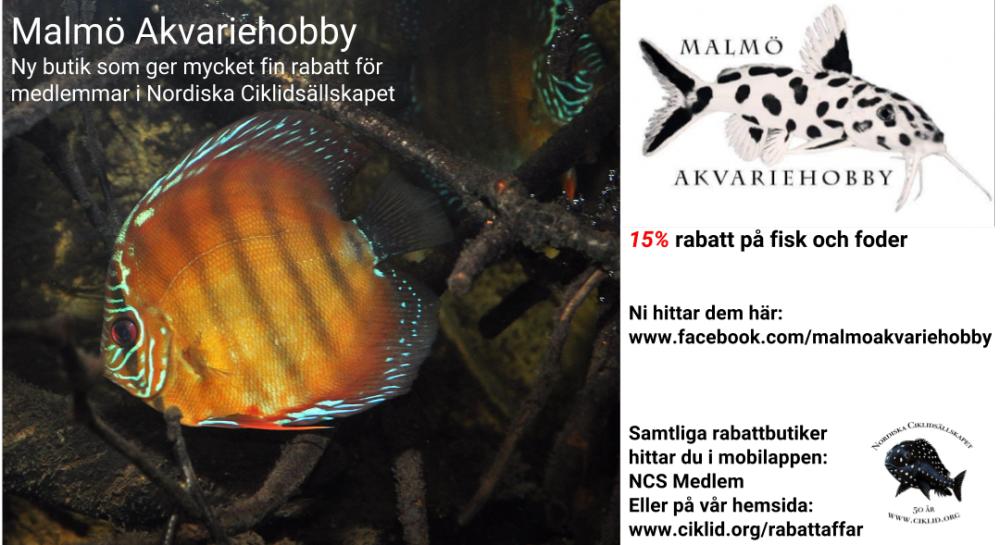 Malmo&#776; Akvariehobby (1).jpg