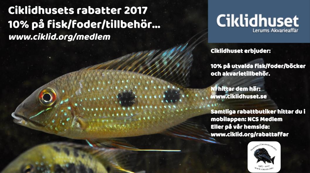Ciklidhuset.jpg