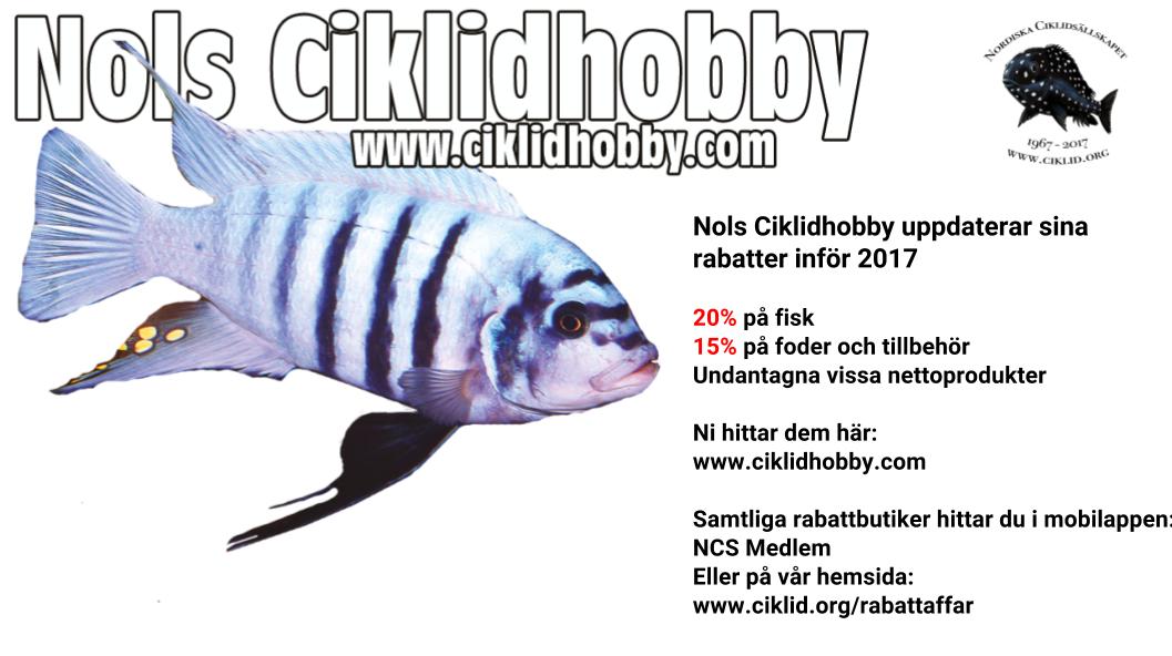Nols Ciklidhobby.jpg