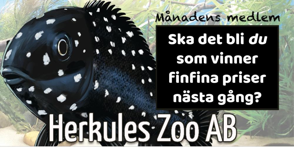Ma&#778;nadens-medlem-reklam (1).jpg