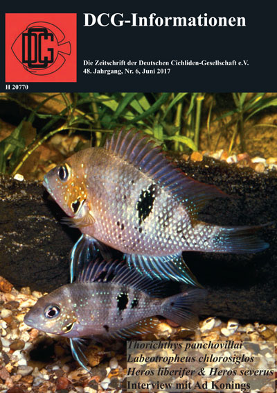 DCG-Cover_06_2017.jpg