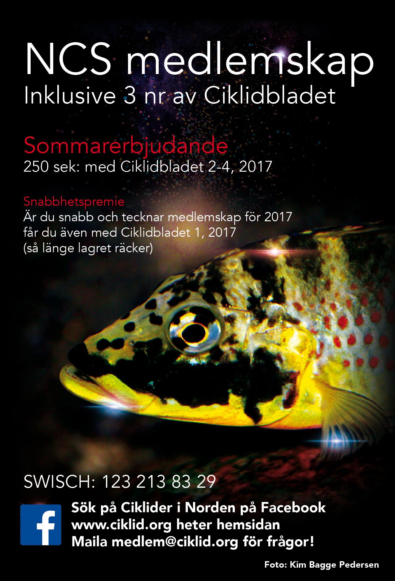 CB-erbjudande.jpg