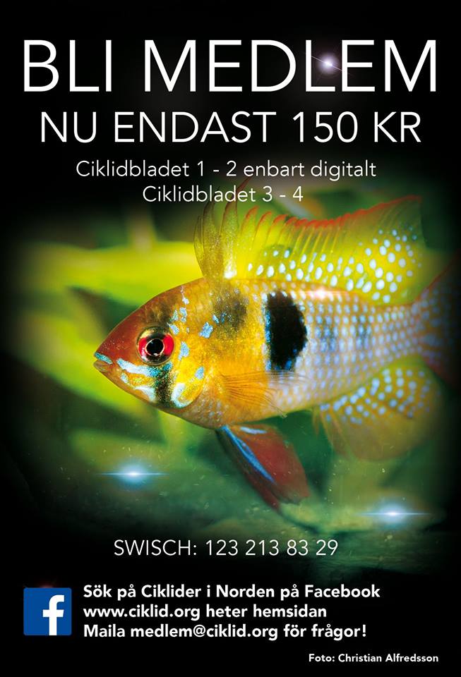 150.jpg