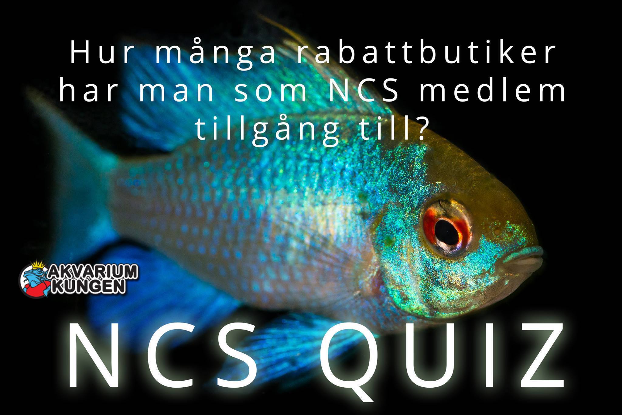 M&amp;#197;NDAG.jpg