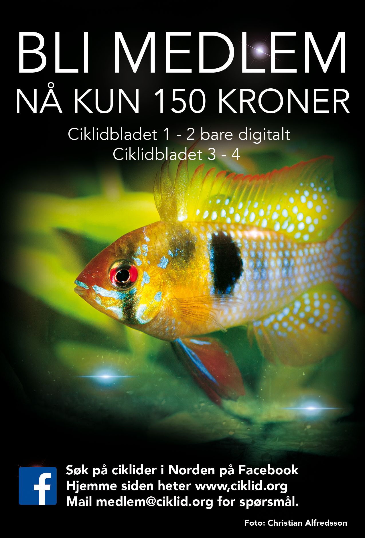nok.jpg