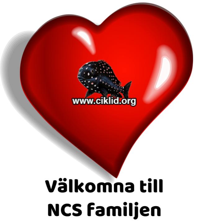Va&#776;lkomna.jpg