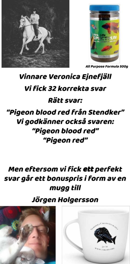 Vinnare Tisdag (1).jpg