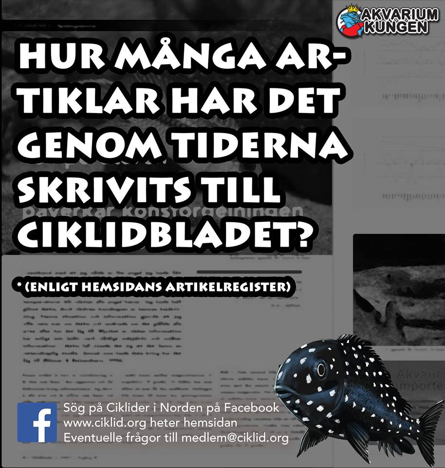 FREDAG.jpg
