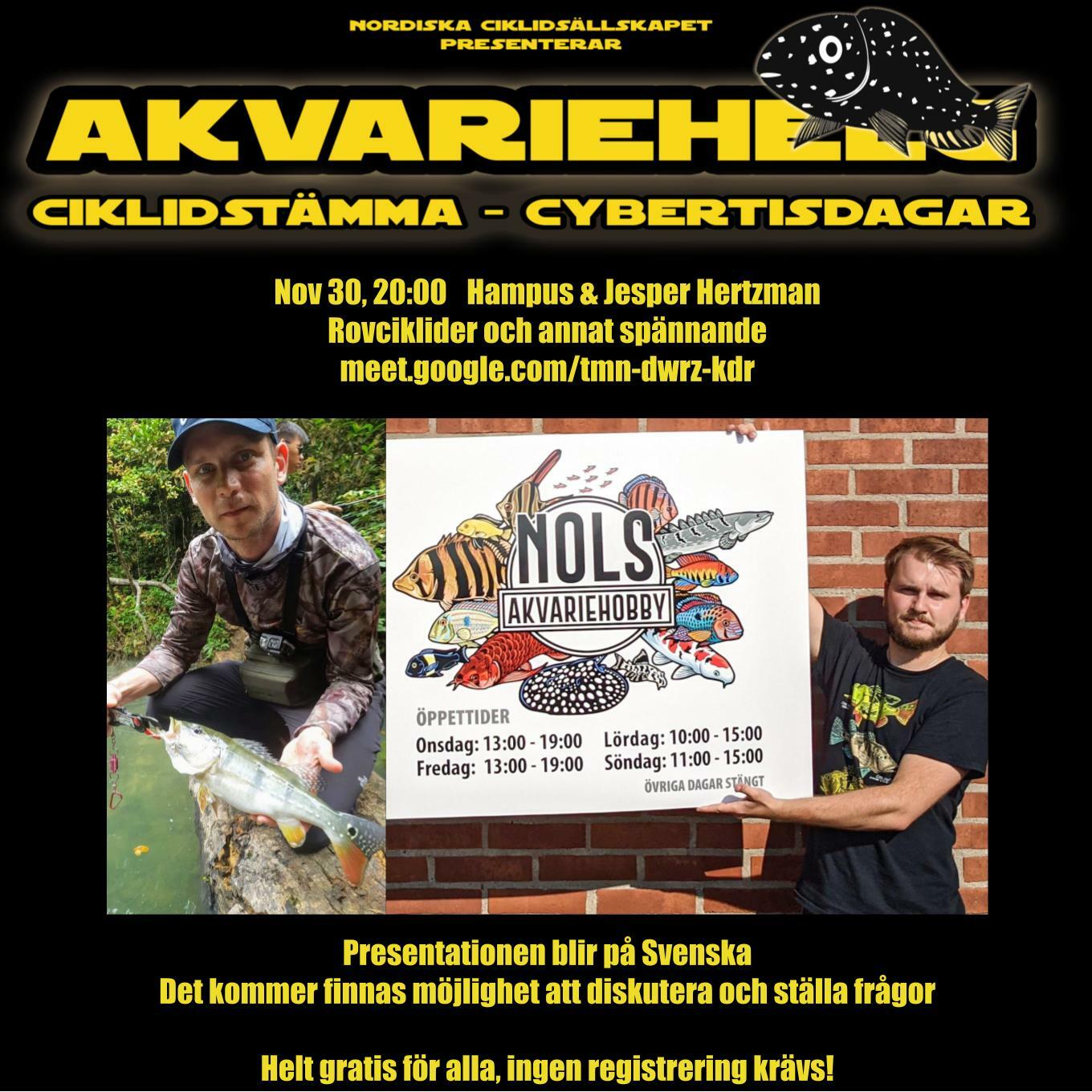Cybertisdagar - Nov 30 - Bro&#776;derna Hertzman (4).jpg