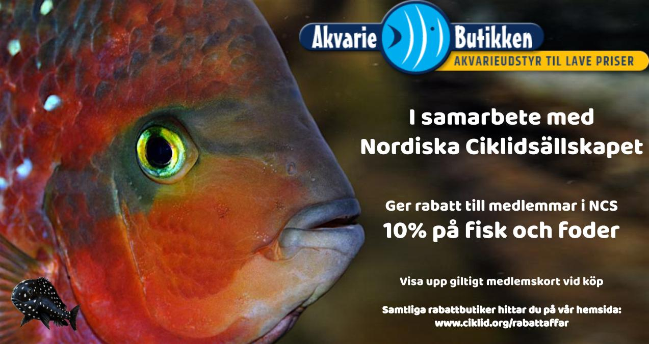 Akvariebutikken 2022.jpg