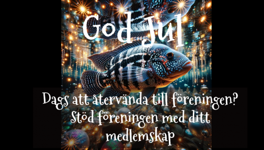 God Jul och va&#776;lkommen a&#778;ter!.png