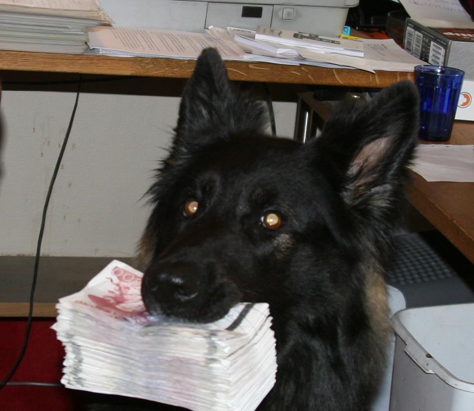 Money.jpg
